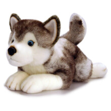 SD4295 35cm Storm Husky, Grey