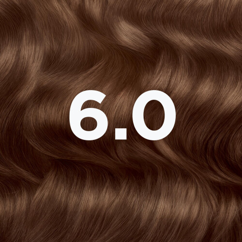 Garnier Kleur - GARNIER - Mocha Bruin 6.0 - Bedekt 100% grijze haren - Zonder ammoniak - Shea butter verzorging 1