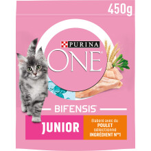 Junior 1 to 12 Months with Chicken and Whole Grain Kitten Dry Food, 450 g