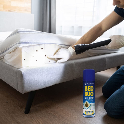 2 X 200ml Bed Bug Killer Spray Treatment Pest Control Kills Insect, Fleas, Ticks, Bed Bug & Lice 1