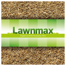 Lawnmax, Grass Seeds, Rapid Growth Economy Mix for Hard Wearing, Shady Lawn, New Lawn, Lawn Repair (1KG)