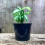 7.5 Litre N203 Round Container Pot (Pack of 2), Black 2