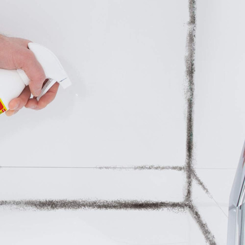HG Mould Destroyer Foaming Spray 500 ml 2