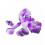 KONG - SoftSeas Octopus L - (KONGRSF12E) 6