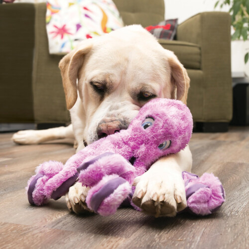 KONG - SoftSeas Octopus L - (KONGRSF12E) 1