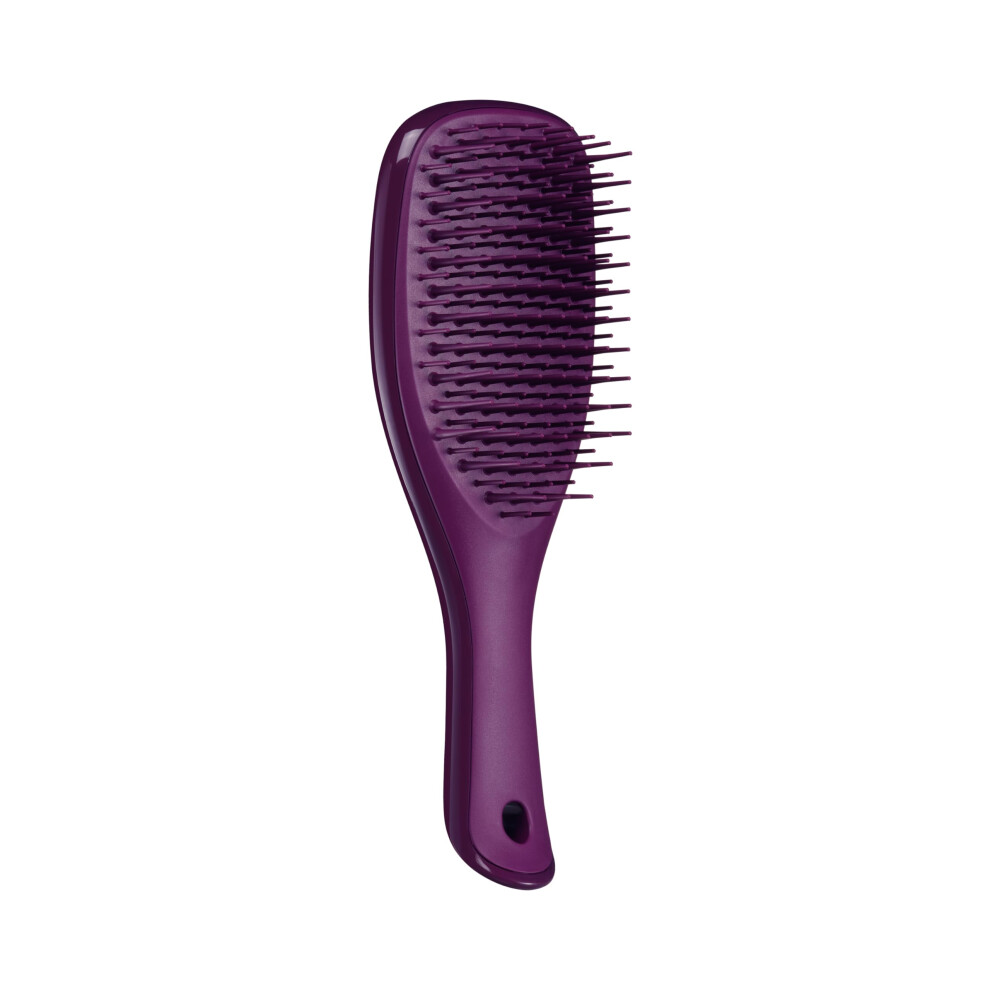 | The Mini Ultimate Detangler Hairbrush |Gentle on Wet Hair | Two-Tiered Teeth & Comfortable Handle | Ideal for Kids And Travel | Reduces Knots &