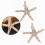 3Pcs Pearl Starfish Rhinestones Hair Clips Mermaid Hair Accessory for Girls Bridal Pearl Hair Clips Hair Pin for Woman and Girl 4