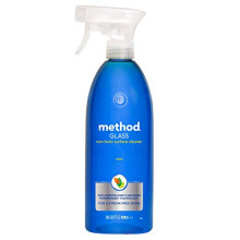 Glass Cleaner Spray, Mint, 828 ml (Pack of 1)
