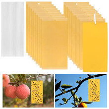 Dual-sided Fly Trap Sticky, 25Pcs Plant Fly Catcher, Board Fruit Fly Traps Sticker Insect Gnat Traps, Yellow Fly Stickers for Mosquitos, Flying Aphid,