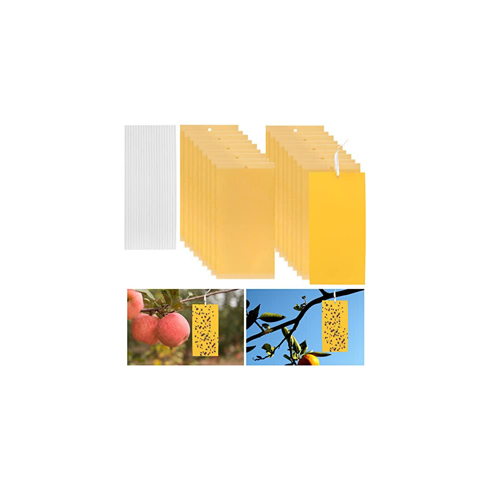 Dual-sided Fly Trap Sticky, 25Pcs Plant Fly Catcher, Board Fruit Fly Traps Sticker Insect Gnat Traps, Yellow Fly Stickers for Mosquitos, Flying Aphid,