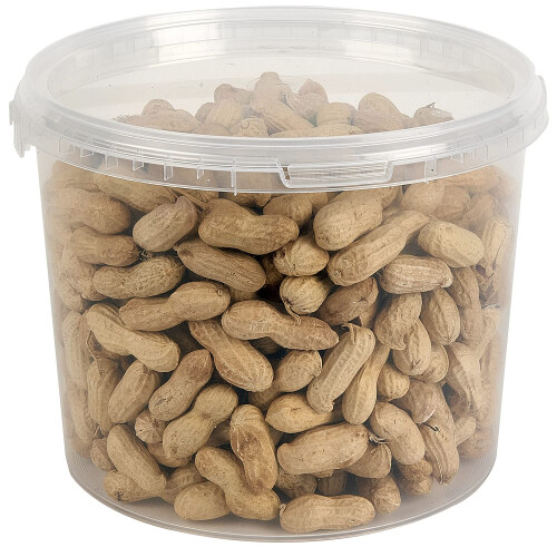 Premium Peanuts In Shell Monkey Nuts 3L Tub