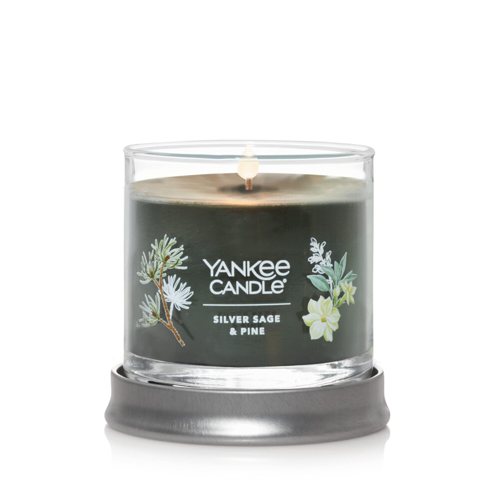 Yankee Candle Silver Sage & Pine Scented  Signature 4.3oz Small Tumbler Single Wick Candle  Over 20 Hours of Burn Time  Christmas | Holiday Candle