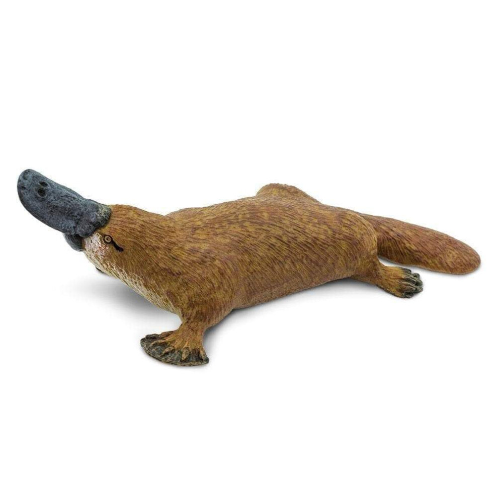 Safari Ltd. Platypus Figurine - Detailed 4.75"" Plastic Model Figure - Fun Educational Play Toy for Boys  Girls & Kids Ages 3+