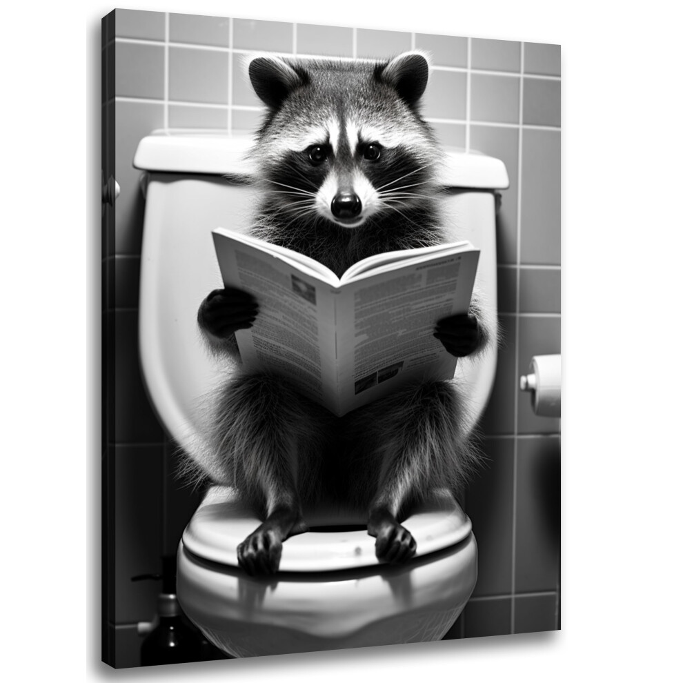 Gongyuanyihao Arts Funny Bathroom Decor Wall Art  Cute Raccoon Reading Newspaper Canvas Wall Art Picture  Humor Farmhouse Animal Wall Art  Modern Wrap