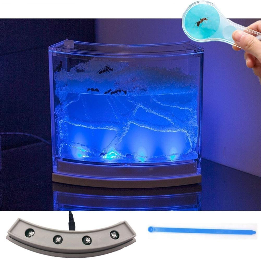 NAVAdeal Ant Farm Habitat for Kids W/ LED Light - Stem Toys  Educational & Science Kit with Nutrient Blue Gel  Observing Ants Create 3D Tunnels to Stu