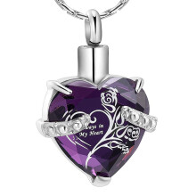 constantlife Kristal Hartvorm Crematie Sieraden Gedenkteken Urn Ketting voor As Roestvrij Staal Ashouder Hanger Aandenken met Geschenkdoos Charms Acc