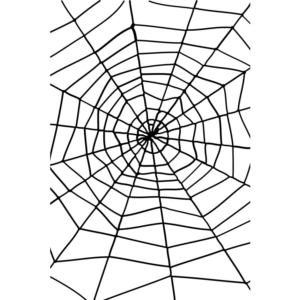 Smiffys Spider Web with Spider - Large