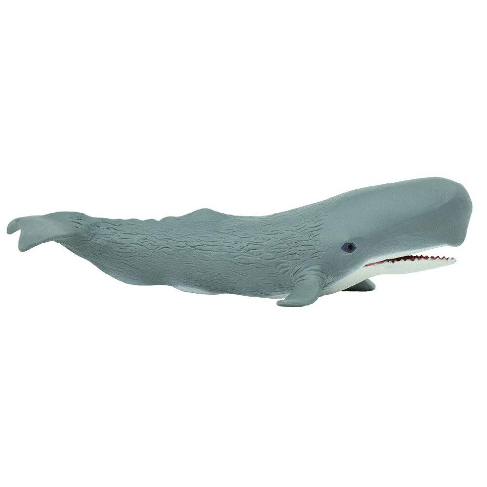 Safari Ltd. Sperm Whale Figurine - Detailed 8.5"" Plastic Model Figure - Fun Educational Play Toy for Boys  Girls & Kids Ages 3+