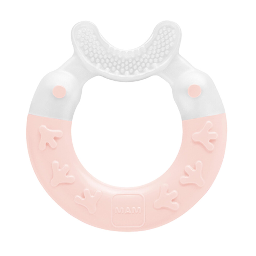 MAM 2-in-1 Bite & Brush Baby Teether  Relieves Teething Symptoms in Babies 3+ Months  Stimulates Sensory Development  1 Pack  3+ Months  Violet/Girl