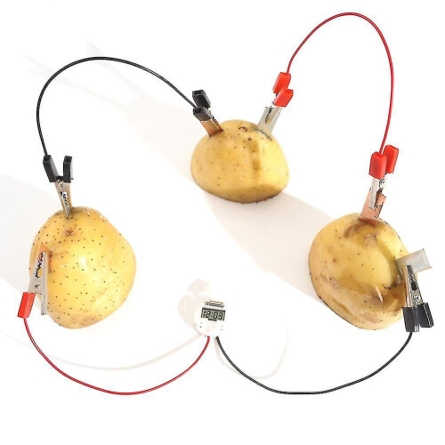 Diy Potato Fruit Power Battery Bio Energy Light Diode Clock Kit Experiment Toy 2