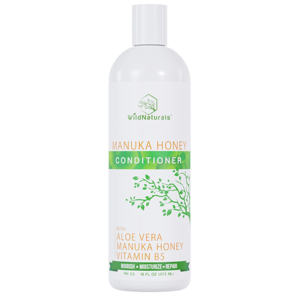 Wild Naturals Sulfate Free Conditioner : With Manuka Honey + Aloe Vera  For Hair Loss  Thinning Hair  and Itchy Dry Scalp. Anti Dandruff  Moisturizing