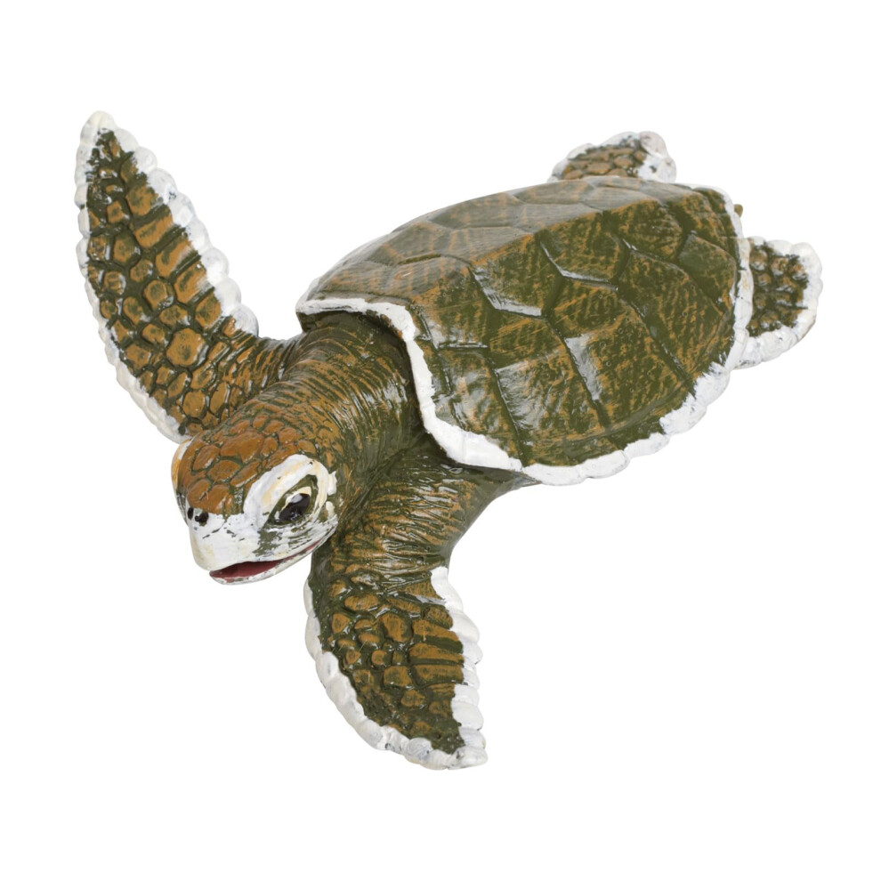 Safari Ltd. Kemp's Ridley Sea Turtle Baby Figurine - Lifelike 5"" Model Figure - Educational Toy for Boys  Girls  and Kids Ages 18M+