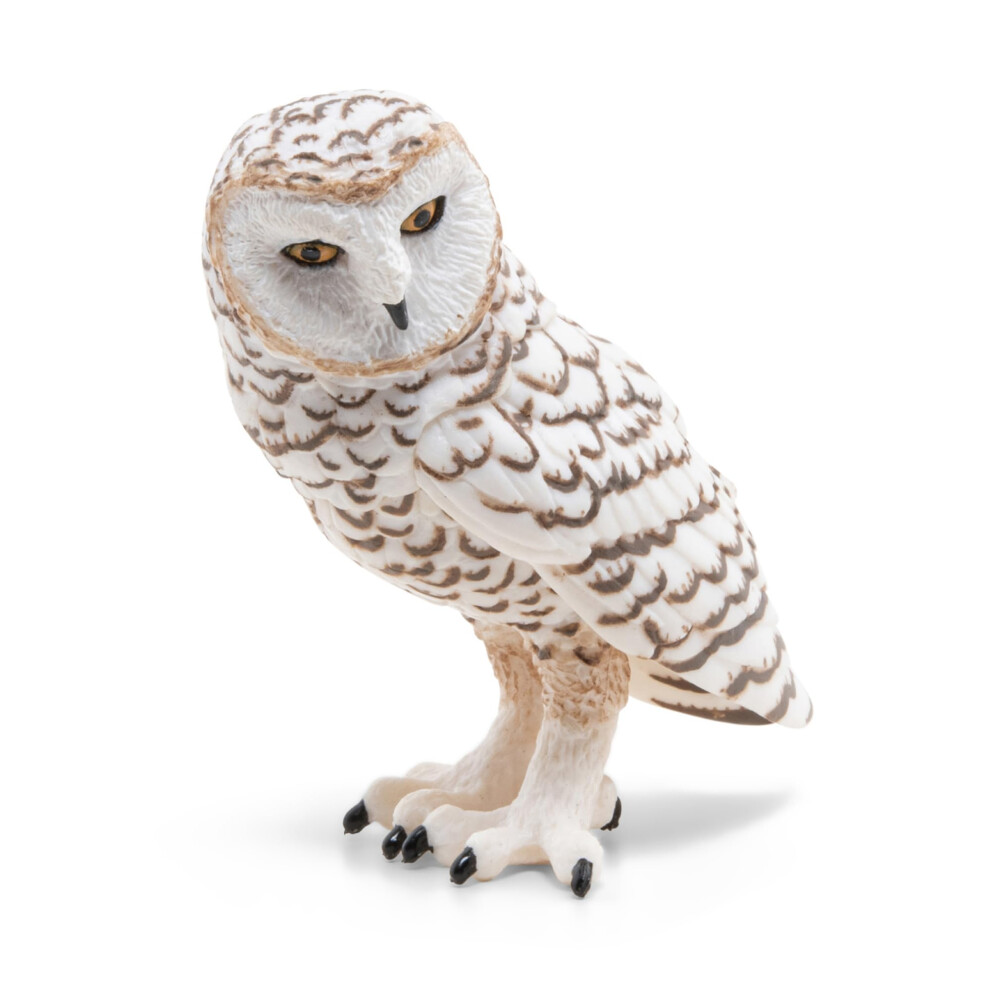 Papo -hand-painted - figurine -Wild animal kingdom - Snowy Owl -50167 -Collectible - For Children - Suitable for Boys and Girls- From 3 years old