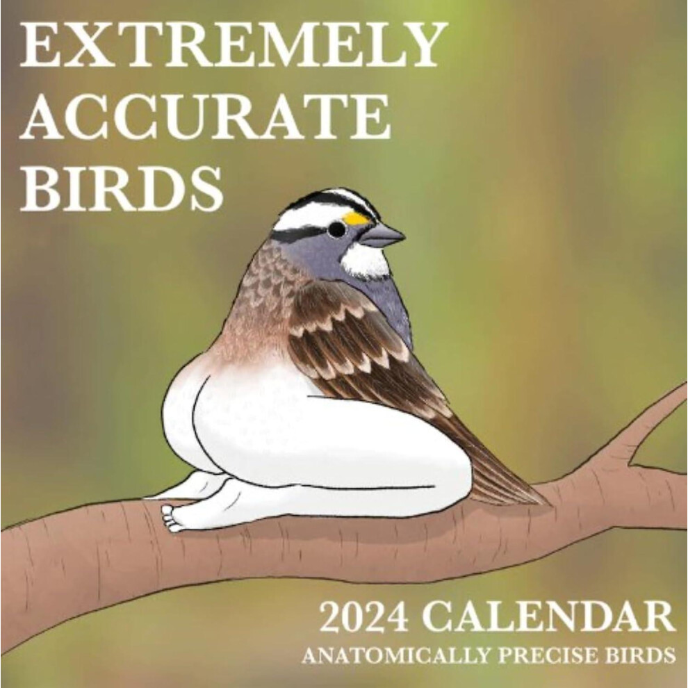 2024 Calendar Of Extremely Accurate Bi 2024 Bird Calendar Wall Calendar 2024, Funny Calendar Gag Gifts For Family, Friends