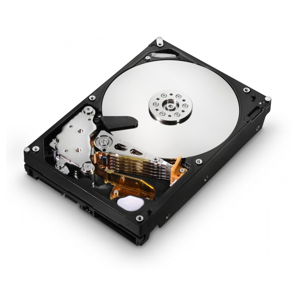 HGST Ultrastar 3.5-Inch 1TB 7200RPM SATA II 16 MB Cache Enterprise Hard Drive with 24x7 Duty Cycle (0A39289)