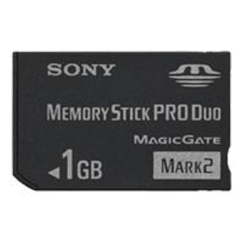 Sony Carte mémoire Sony 1 Go Memory Stick PRO Duo MSMT1G