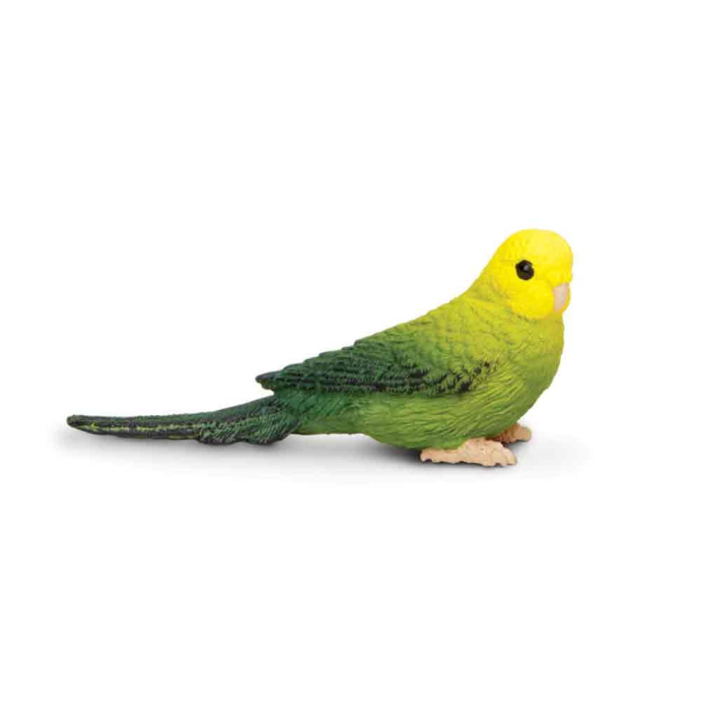 Safari Ltd Wings of the World Green Budgie