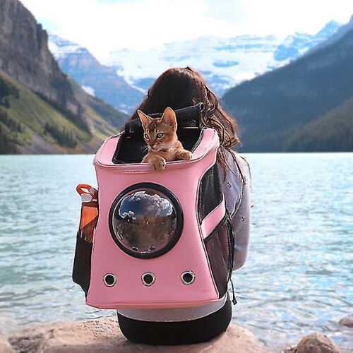 (Gold) Cat Backpack For Larger Cats 1