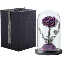 Preserved Real Rose Eternal Rose In Glass Dome Gift For Her Thanksgiving Ch