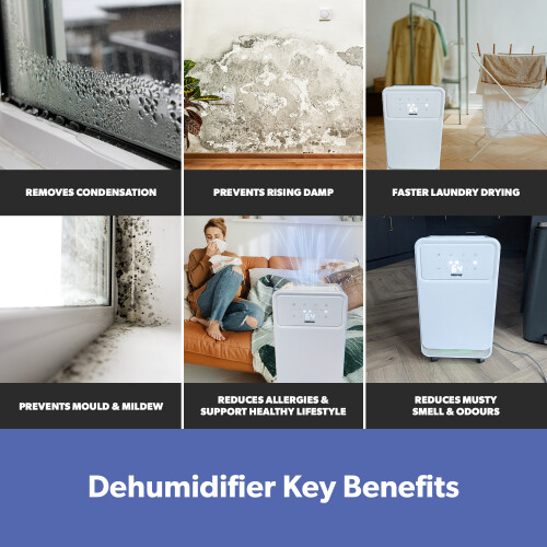 GEEPAS GEEPAS 12L/Day Dehumidifier | Automatic Humidity Sensor Display 2