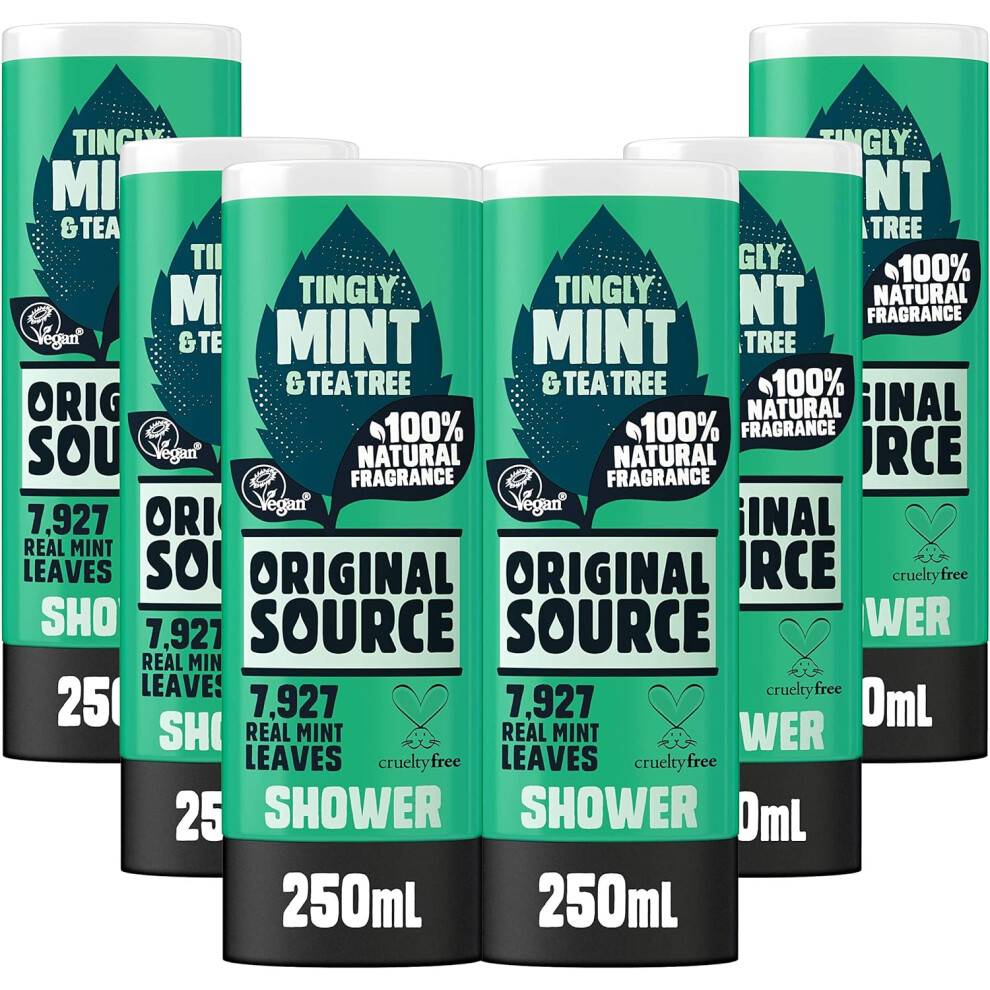 Original Source Mint & Tea Tree Shower Gel 6 x 250ml-image-OPC-PFSYX5V-NEW