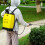 12L Backpack Pressure Sprayer With Lance Garden Weed Killer Knapsack 2