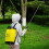 12L Backpack Pressure Sprayer With Lance Garden Weed Killer Knapsack 5