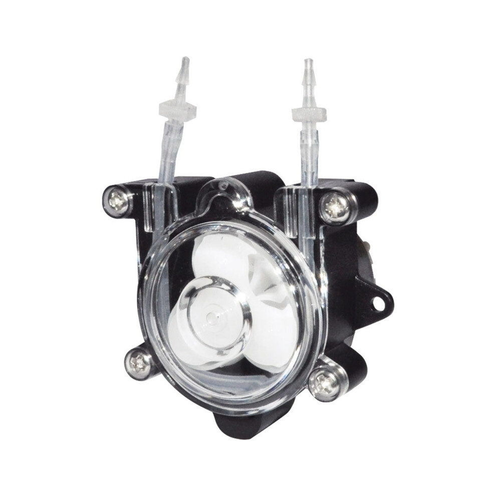 Pompe péristaltique à haut débit Pompe doseuse miniature 12 V Pompe péristaltique à tuyau pour aquarium de laboratoire Pompe doseuse de liquide C