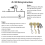 Ceiling Fan Light Switch Ear ZE-109 Two-Wire Light Switch with Pull Cords for Ceiling Light Fans 2Pcs Silver 6