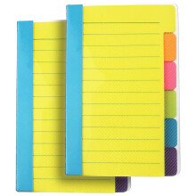 Haftnotizen-Teiler, Haftnotizen-Register, selbstklebend, liniert, Notizblock in leuchtenden Farben, 10,2 x 15,2 cm, 2 Stück, 120 Indexnotizen