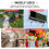 2PCS Balloon Wind Spinner Striped Windsock Balloon Yard Decor Spiral Balloon Windmill 8