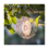 4Pack 10 Inch Sublimation Wind Spinner Blanks,Double-Sided Hanging 3D Wind Sculpture for Outdoor Garden Yard Decoration 4