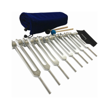 Chakra-Stimmgabel-Set zur Heilung, 8-teiliges silbernes Chakra-Stimmgabel-Set zur Meditation