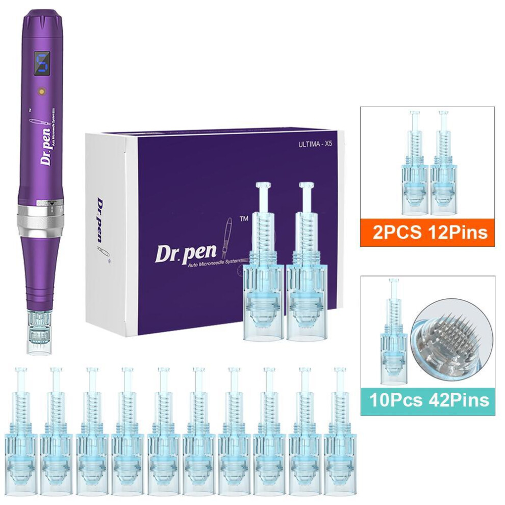 (X5W+10PCS 42PIN) Dr.pen X5 Wireless Derma Pen Microneedling Derma Rolling Mts Micro Needle Therapy System Skin Care Beauty Tool With 12pcs Needles Cartridges