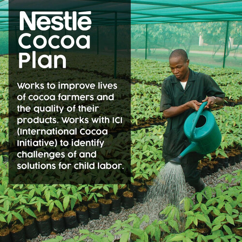 Nestle Nestle Rich Chocolate Flavor - 50 Packets 2