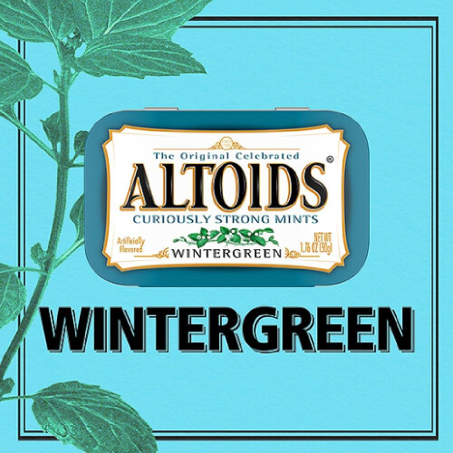 Altoids Wintergreen Curiously Strong Mints - 1.76 oz 2