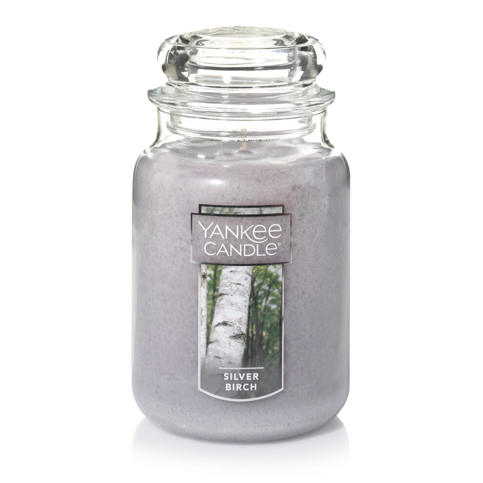 Yankee Candle Silver Birch Scented  Classic 22oz Large Jar Single Wick Aromatherapy Candle  Over 110 Hours of Burn Time  Apothecary Jar Fall Candle  A