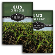 Survival Garden Seeds Oats Cover Crop Seed - 2 Packets with Planting Instructions for High Yielding Oats