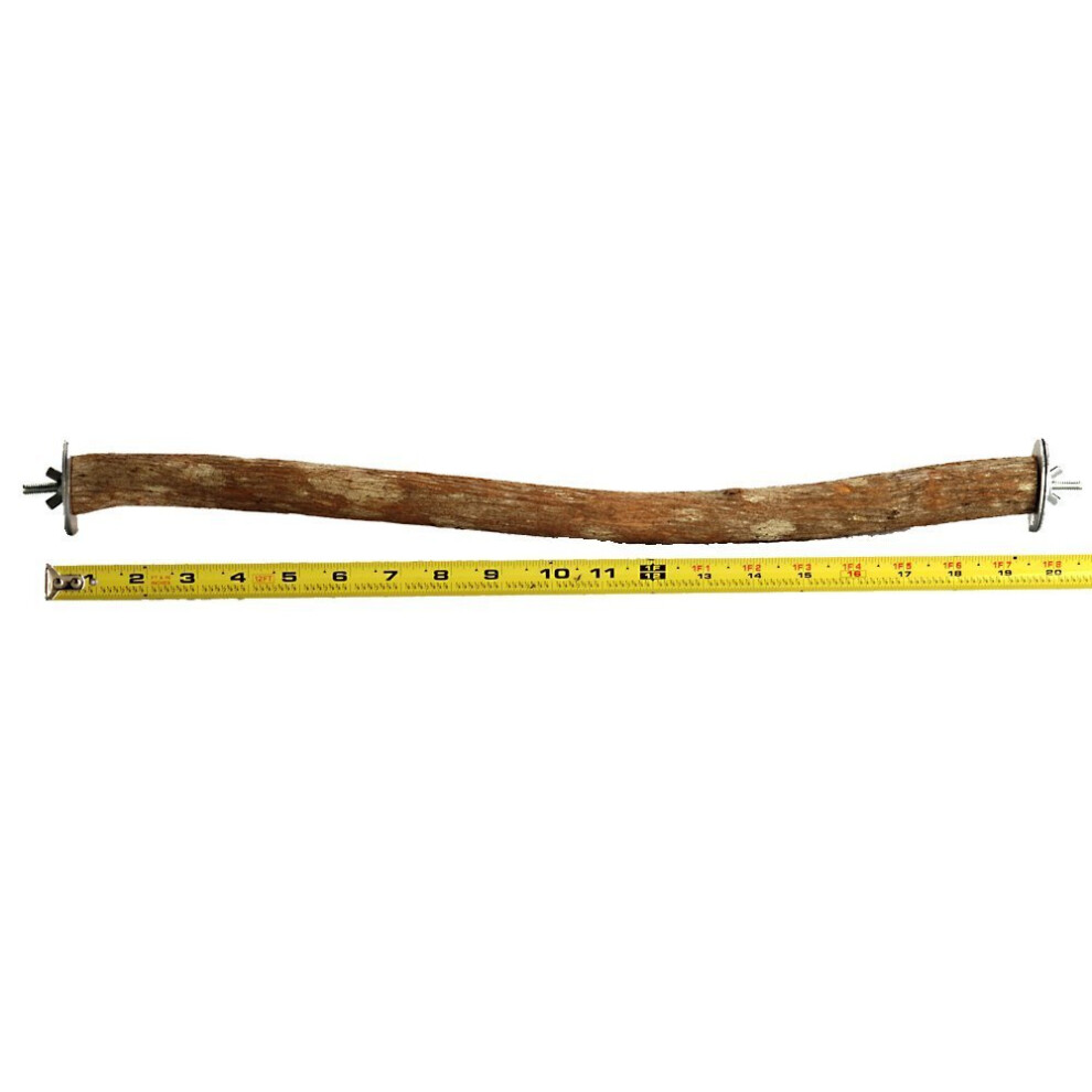 Polly's Full Length Hardwood Bird Perch  20-Inch