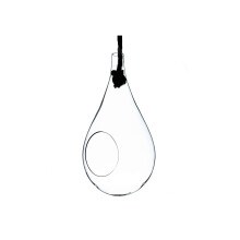 WGV Vaso Appeso Terrarium, Larghezza 19 cm, Altezza 38 cm, Contenitore in Vetro Trasparente per Succulente